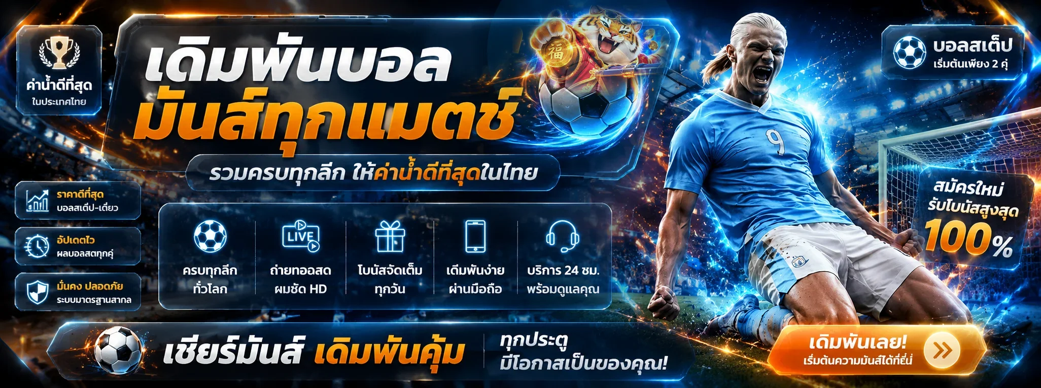 kiwi99 banner